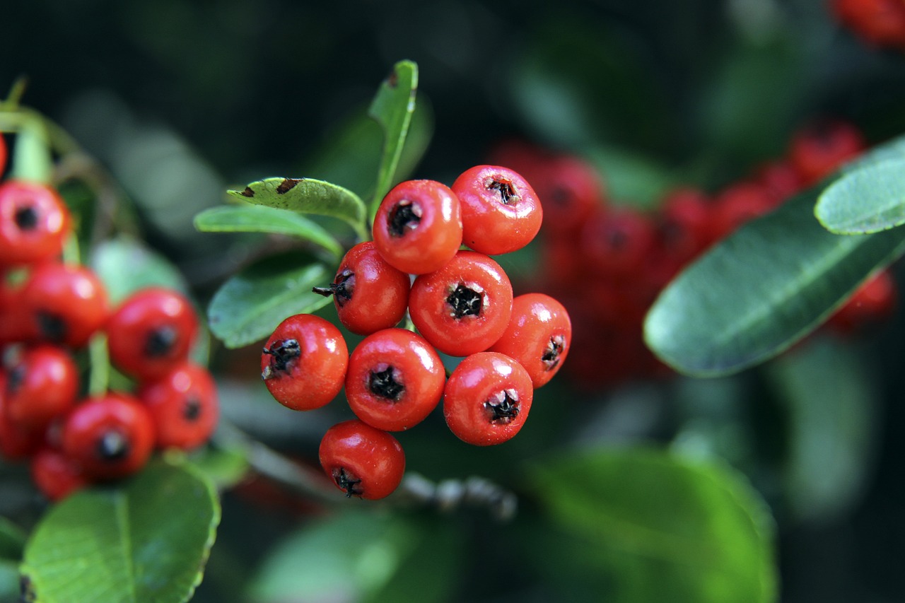 福德表现出 福德表现出