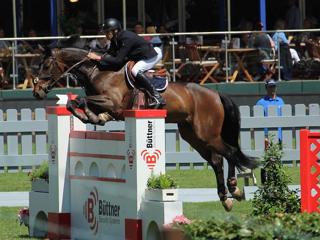 的生态发展 的生态发展