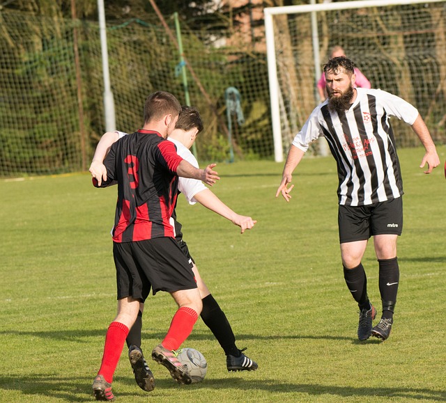 运动需求的 运动需求的