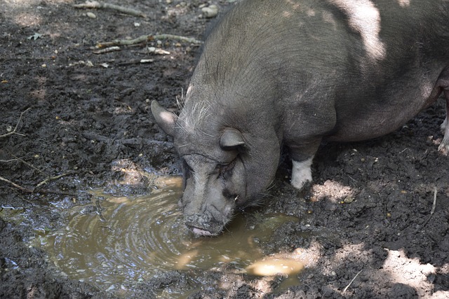 间内提升知 间内提升知