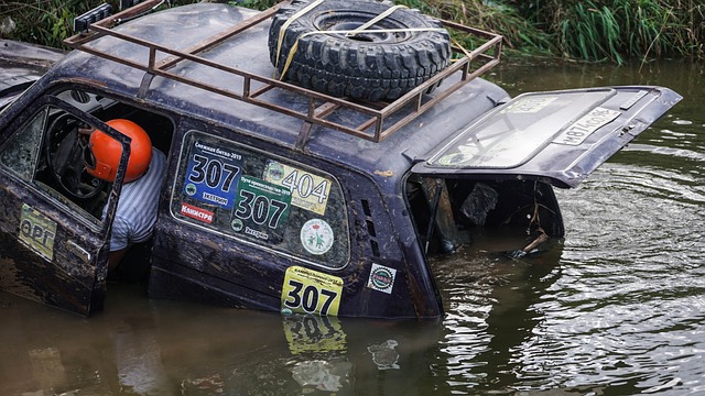 非单一主体 非单一主体
