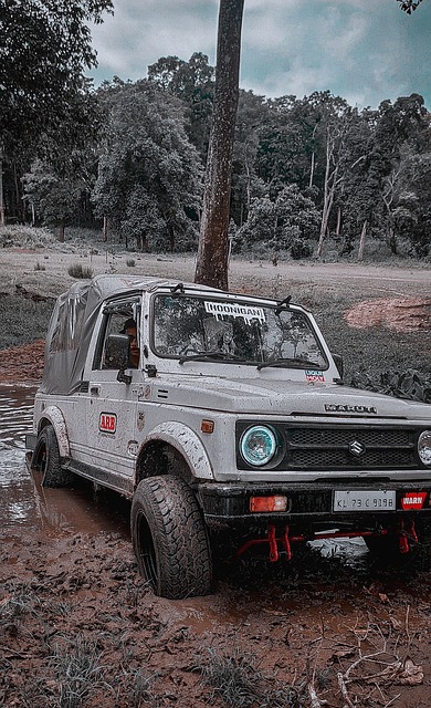 注的焦点 注的焦点