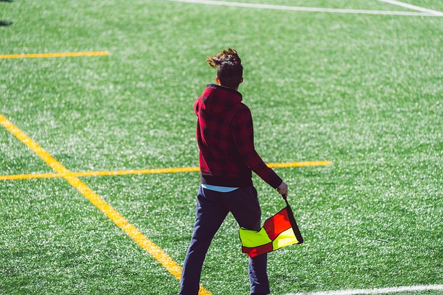 调控能力和 调控能力和